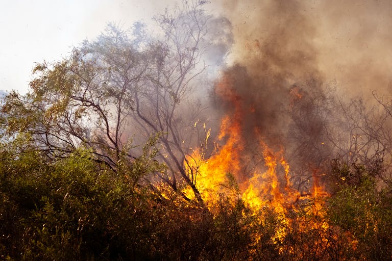 Bushfire in Australia